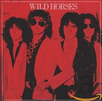 WILD HORSES - CD