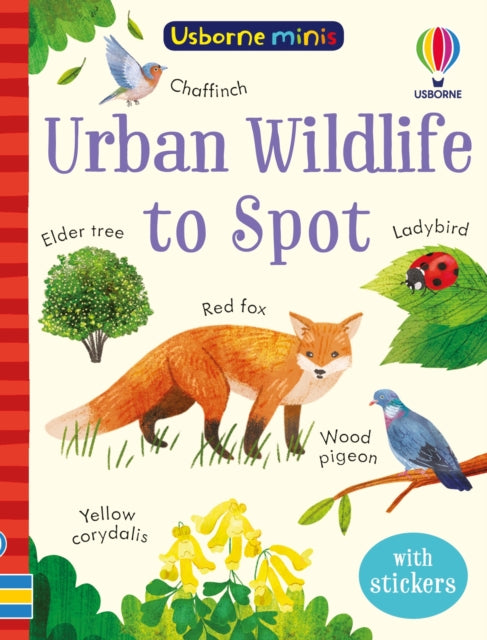 Kate Nolan - Urban Wildlife to Spot - Paperback