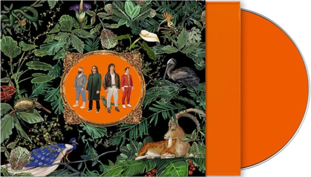 Don Broco - Amazing Things - CD