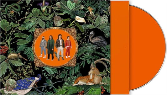 Don Broco - Amazing Things - New CD
