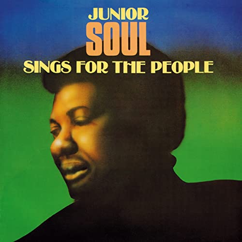 Sing for the People - Vinyl Record