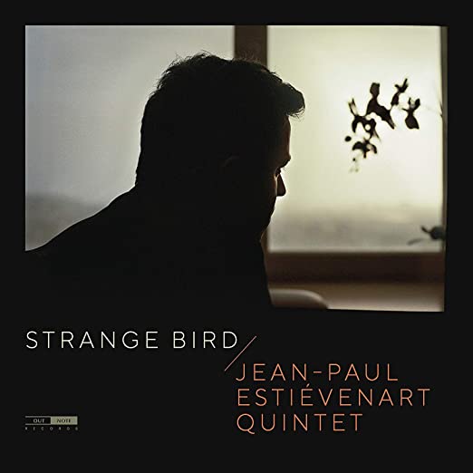 JEAN-PAUL ESTIEVENAR - STRANGE BIRD - CD