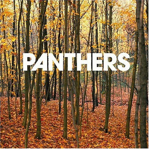 Panthers - Things Are Strange - Used CD