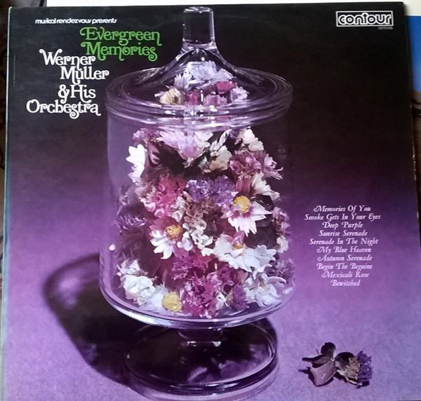 Werner Muller Und Se - Evergreen Memories - Used Vinyl Record