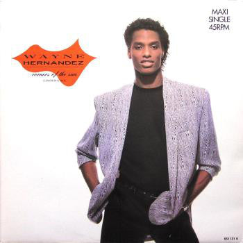 Wayne Hernandez - Corners Of The Sun - Used Vinyl Record 12"