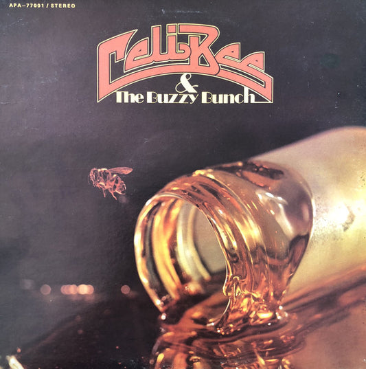 Celi Bee & The Buzzy - Used Vinyl Record