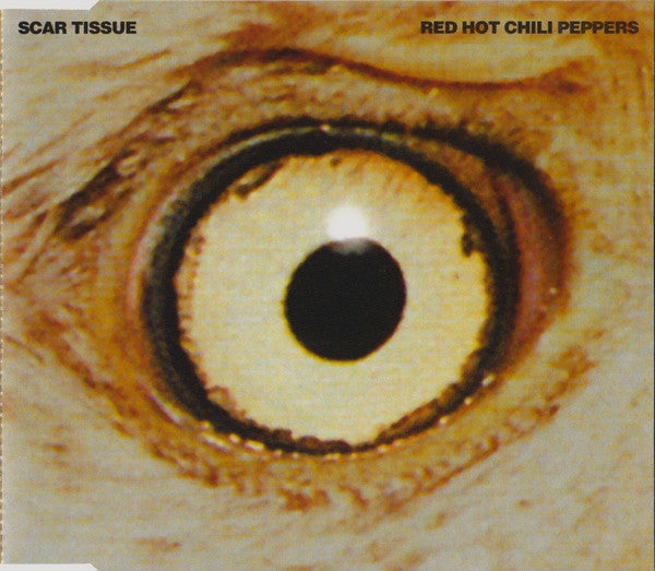 Red Hot Chili Pepper - Scar Tissue - Used CD
