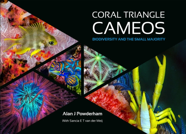 Burt Jones and Mauri - Coral Triangle Cameos : Biodiversity and the sm