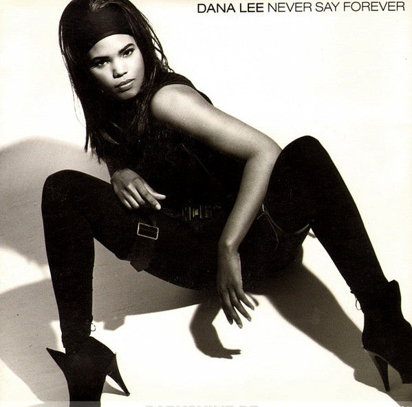 Dana Lee - Never Say Forever - Used Vinyl Record 12"
