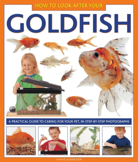 David Alderton - How to Look After Your Goldfish - Hardback