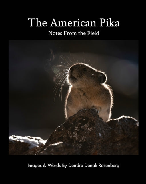 Rosenberg - American Pika  notes from the field - New paperback or sof