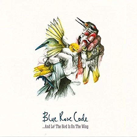 Blue Rose Code - And Lo! The Bird Is On the Wing - CD