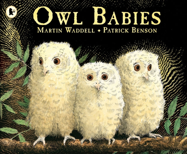 Martin Waddell - Owl Babies - Paperback