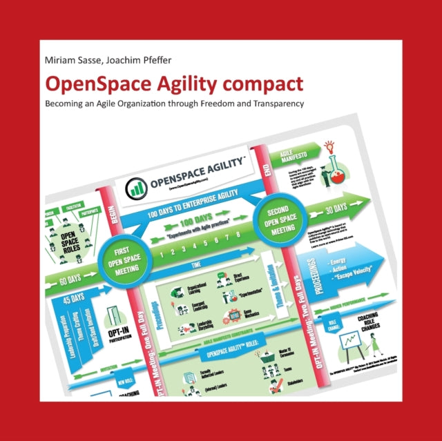 Sass - OpenSpace Agility compact Becoming an Agile Organization throug