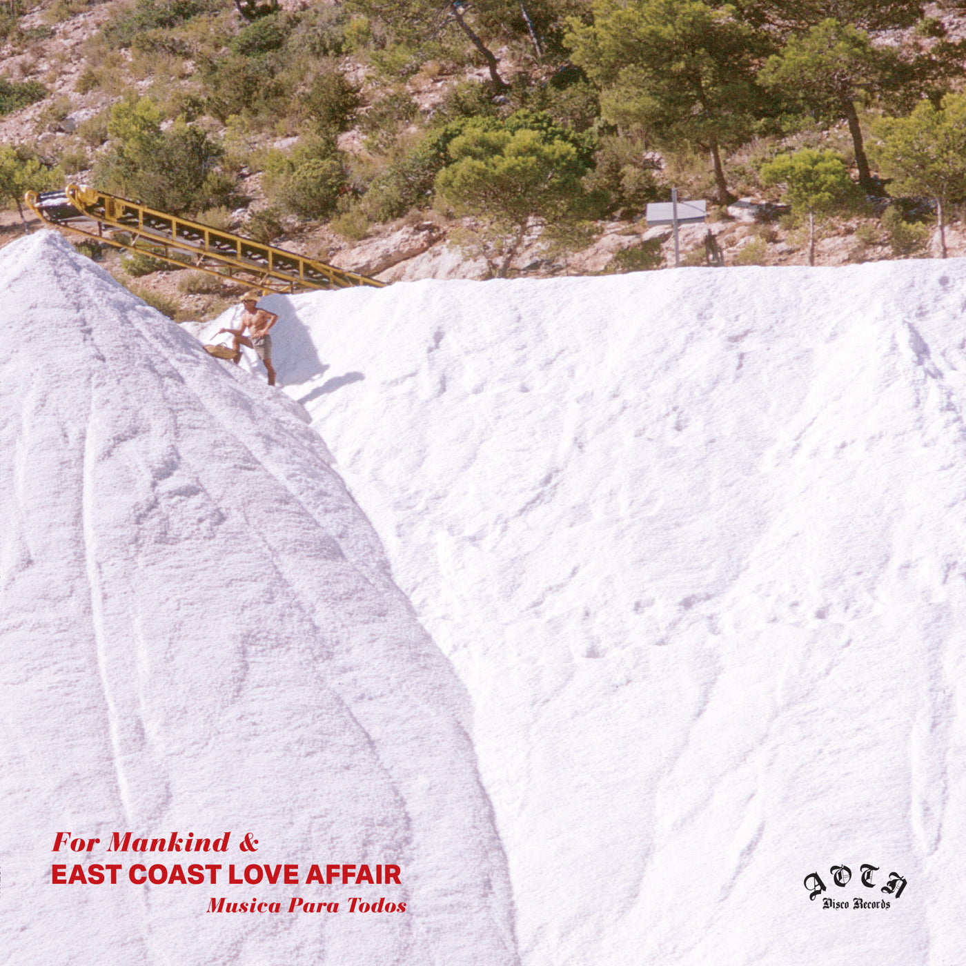 East Coast Love Affa - Musica Para Todos - Vinyl Record