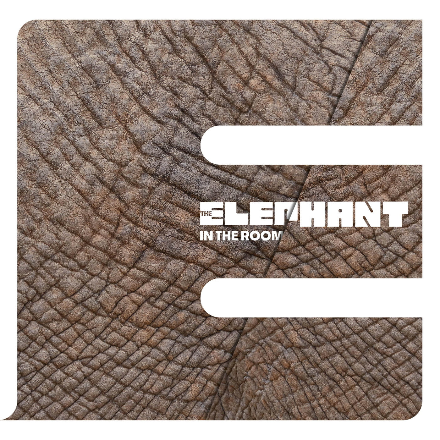 Elephant - In the Room - Vinyl Record