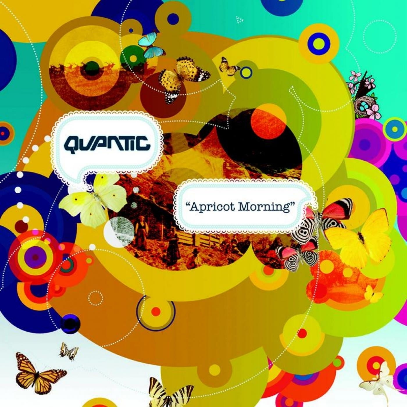QUANTIC - APRICOT MORNING - Vinyl Record
