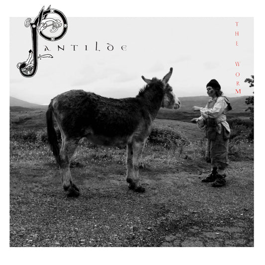Worm - Pantilde - CD