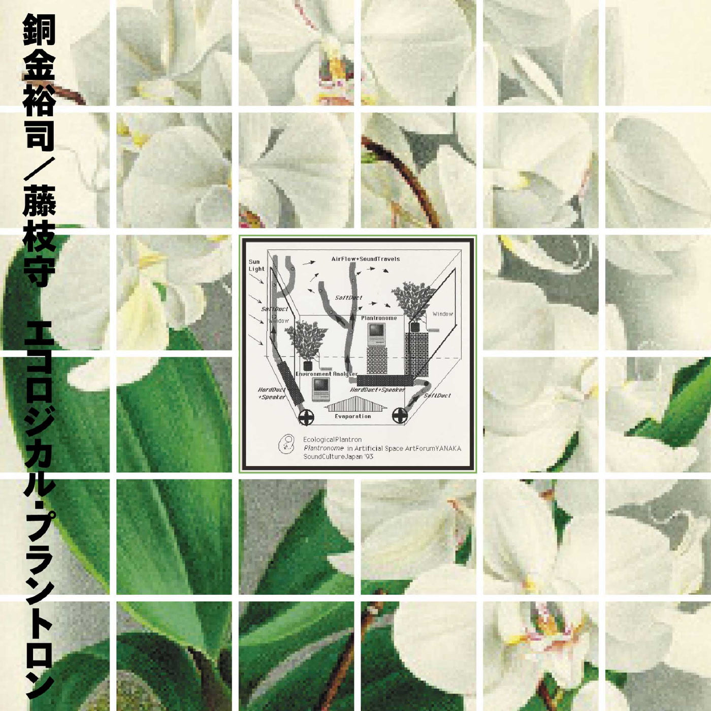 Yuji Dogane & Mamoru - Ecological Plantron - Vinyl Record