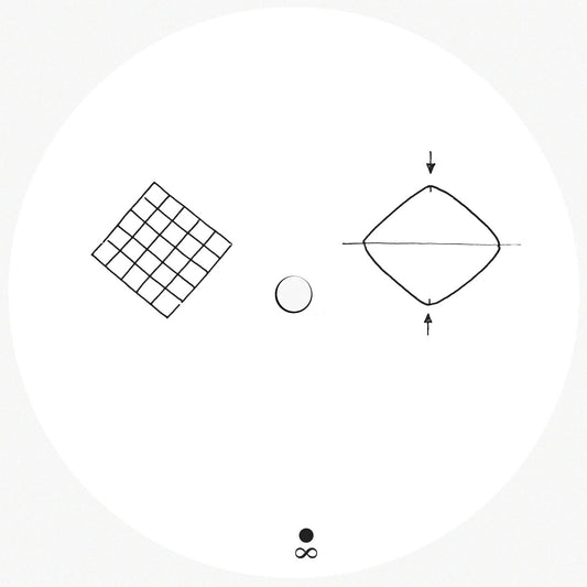 33.10.3402 - Iz Usta - Vinyl Record 12
