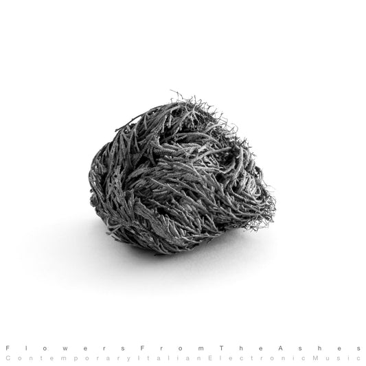 Various - Flowers From The Ashes: Contemporary Italian Electronic Musi