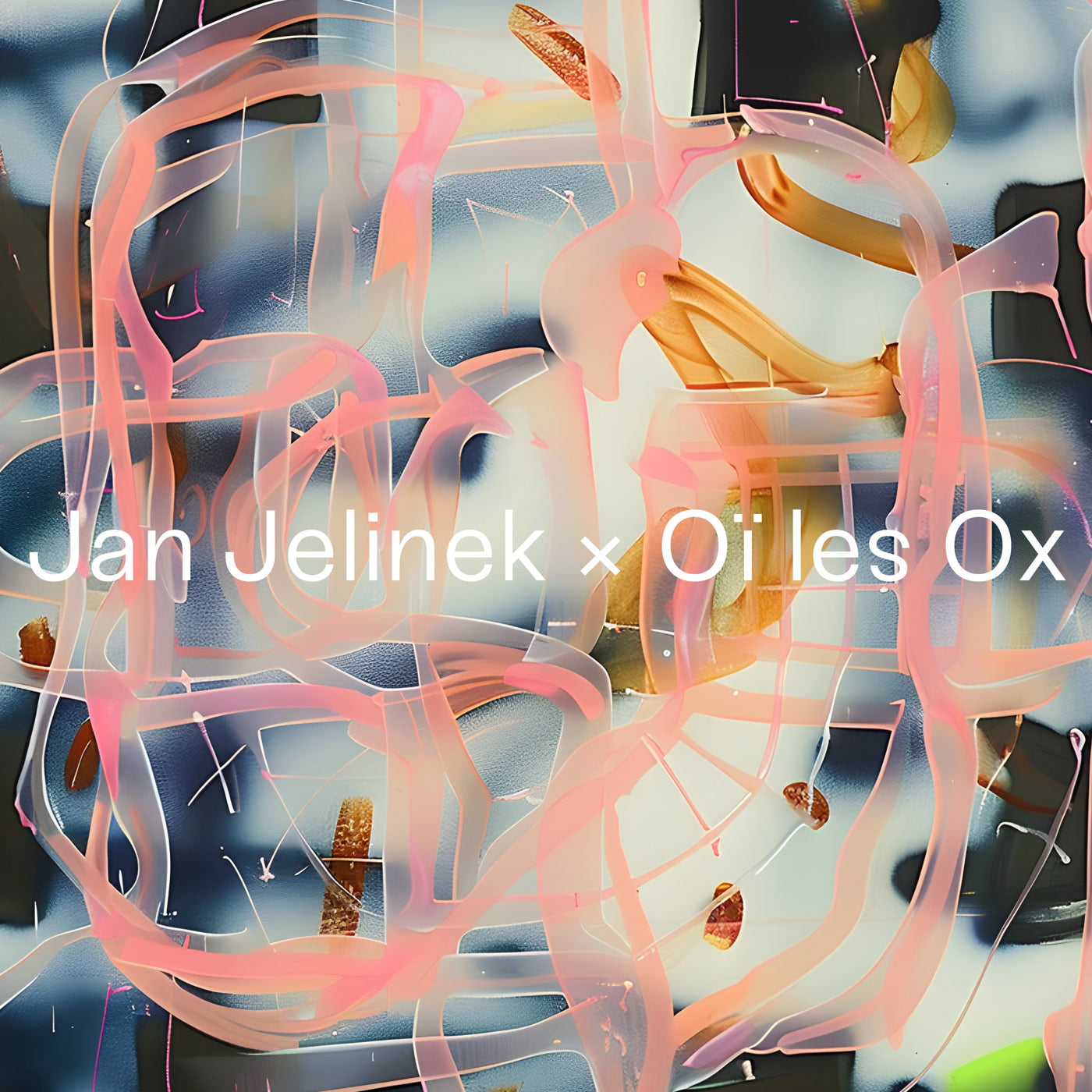 JAN JELINEK X OI LES - CINéMA DU LOOK - Vinyl Record VL
