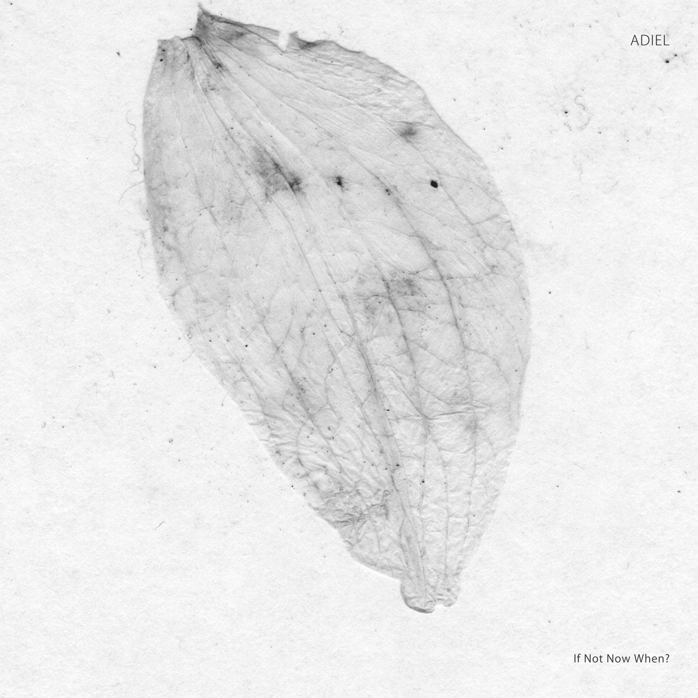 Adiel - If Not Now When? - Vinyl Record 12