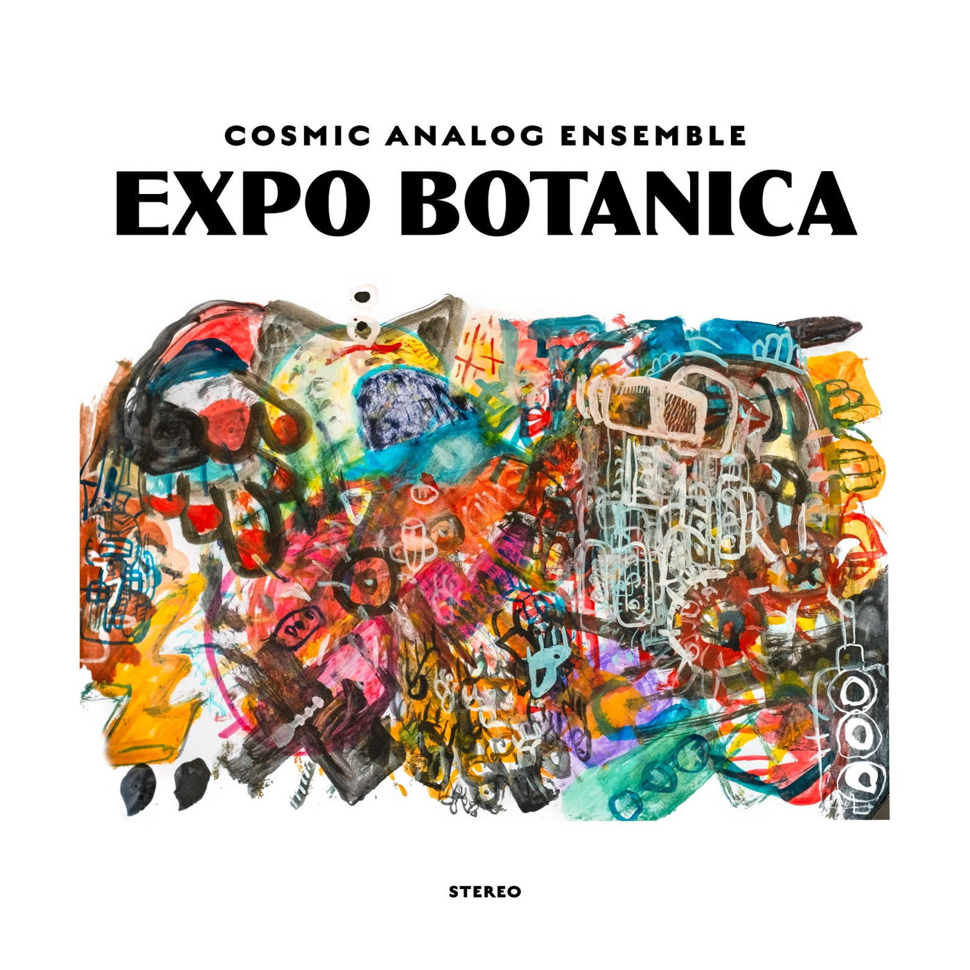 Cosmic Analog Ensemb - Expo Botanica - Vinyl Record