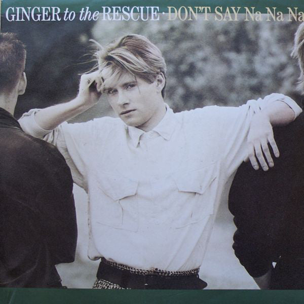 Ginger To The Rescue - Don't Say Na Na Na - Used Vinyl Record 7"