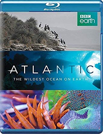 Atlantic - The Wildest Ocean On Earth - Blu-ray