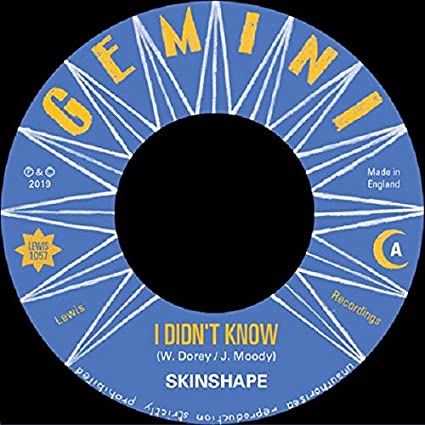 SKINSHAPE - I DIDN'T KNOW (EXTENDED MIX) / I DIDN'T KNOW - Vinyl Reco