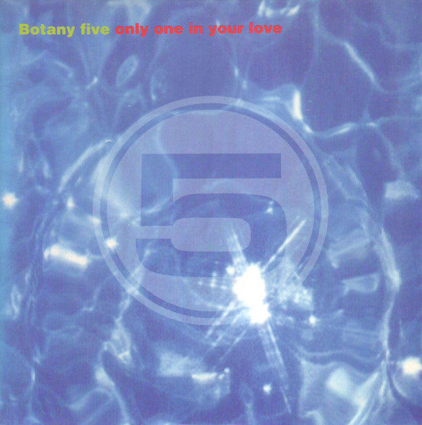 Botany 5 - Only One In Your Love - Used Vinyl Record 7"