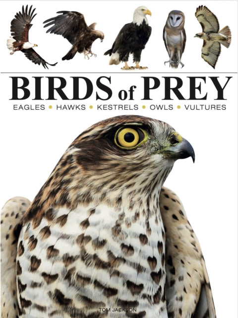 Tom Jackson - Birds of Prey - Paperback