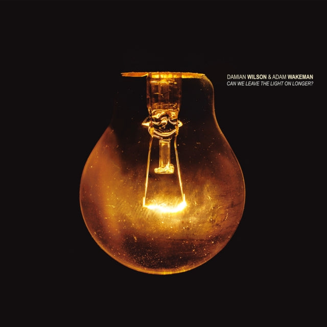 DAMIAN WILSON & ADAM - CAN WE LEAVE THE LIGHT ON LONG - CD