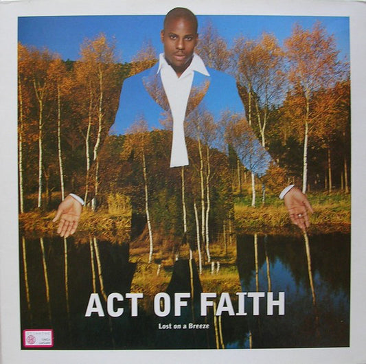 Act Of Faith - Lost On A Breeze - Used Vinyl Record 12"