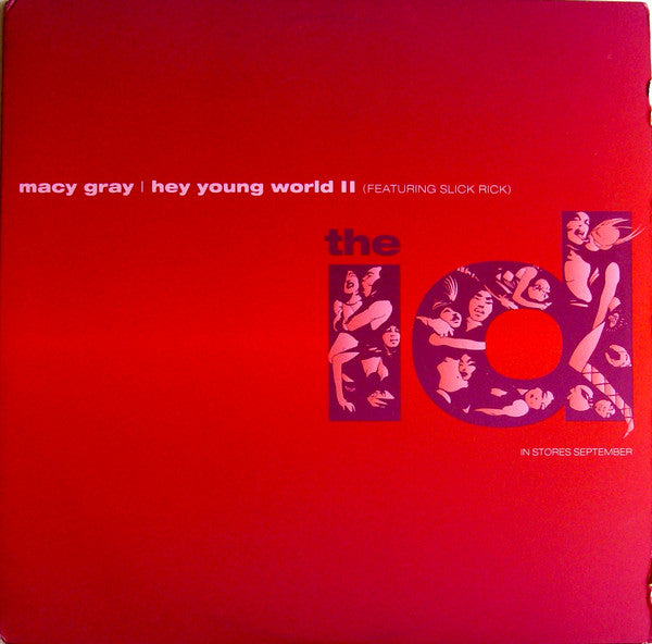 Macy Gray - Hey Young World II - Used Vinyl Record 12"
