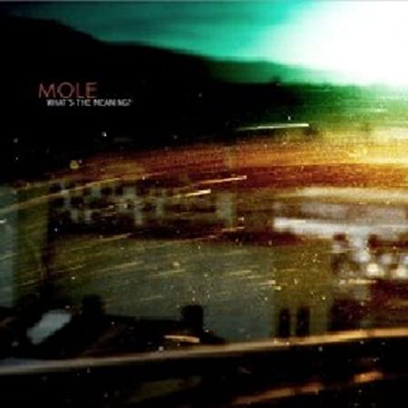 MOLE - WHATS THE MEANING - New CD