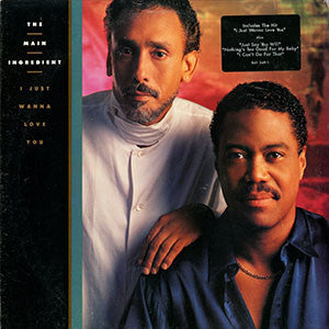 Main Ingredient - I Just Wanna Love You - Used Vinyl Record