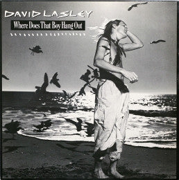 David Lasley - Where Does That Boy Hang Out - Used Vinyl Record 12"