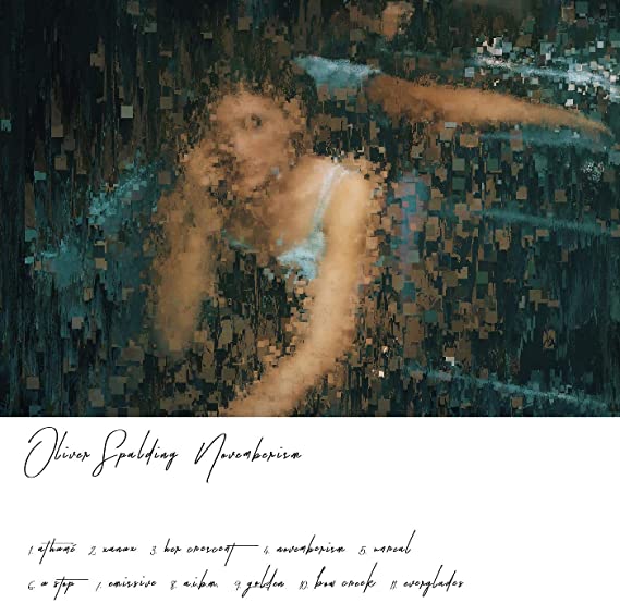 OLIVER SPALDING - NOVEMBERISM                    