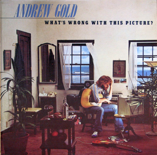 Andrew Gold - What's Wrong With This Picture? - Used Vinyl Record