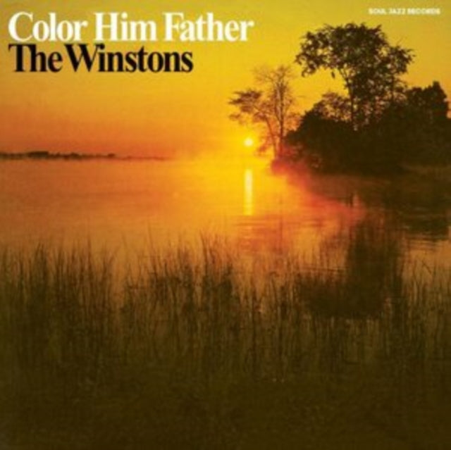 WINSTONS - COLOR HIM FATHER - Vinyl Record 12" RECORD