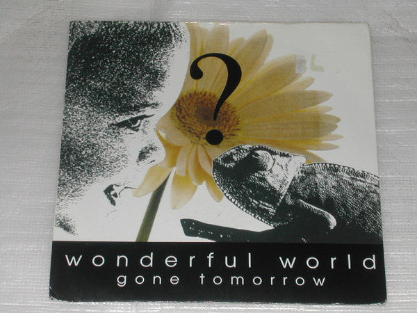 Gone Tomorrow - Wonderful World - Used Vinyl Record 7"