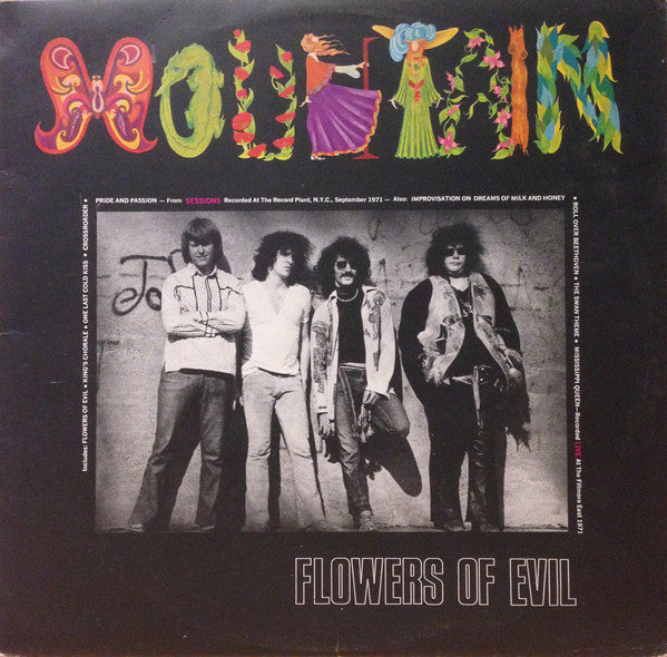 Mountain - Flowers Of Evil - Used Vinyl Record