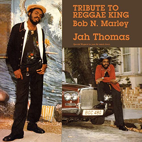 TRIBUTE TO REGGAE KING BOB N M - Vinyl Record