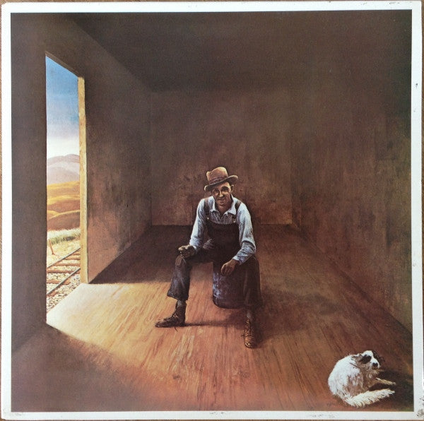 Don McLean - Homeless Brother - Used Vinyl Record