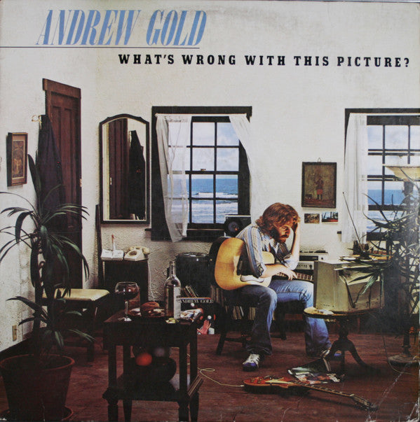 Andrew Gold - What's Wrong With This Picture? - Used Vinyl Record