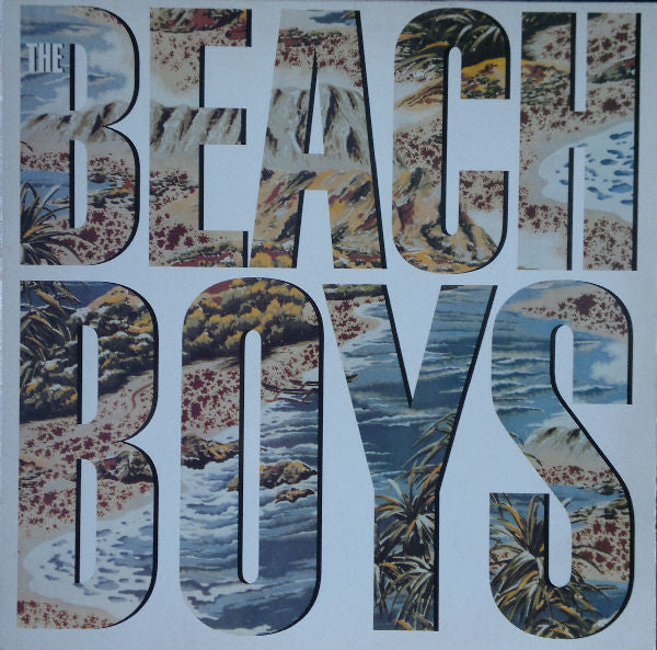 Beach Boys - Used Vinyl Record