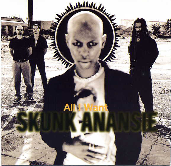 Skunk Anansie - All I Want - Used CD