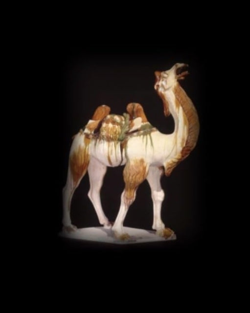 Tim Williams - Silk Roads - New Hardback